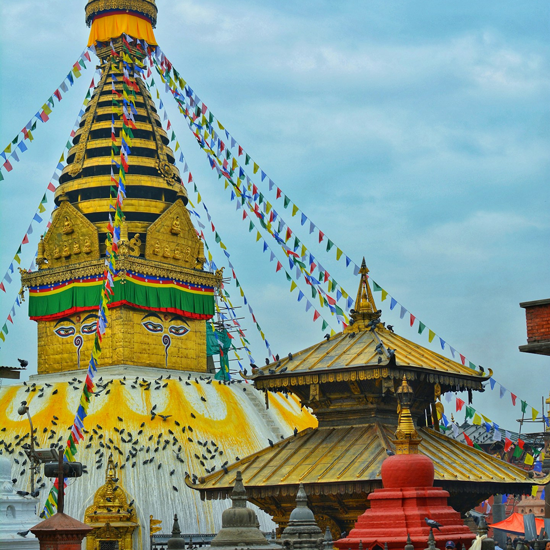 Tour In Nepal