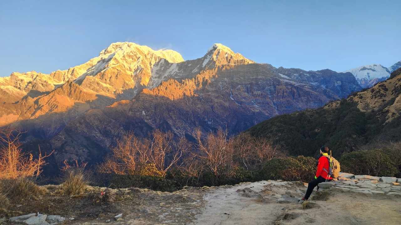 Mardi Himal Trek | 8 Days Itinerary, Cost and Difficulty