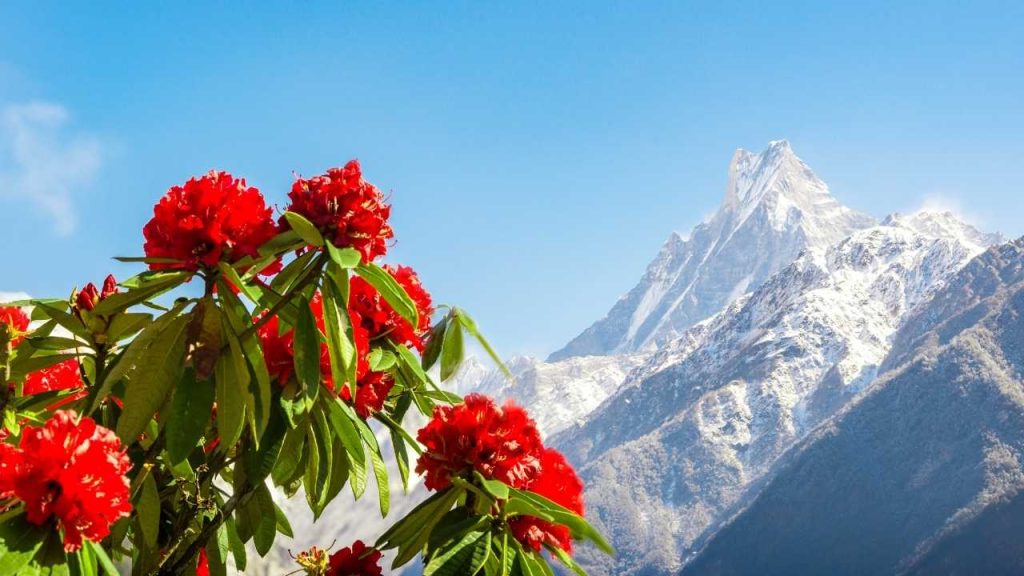 Best time to trek in Nepal
