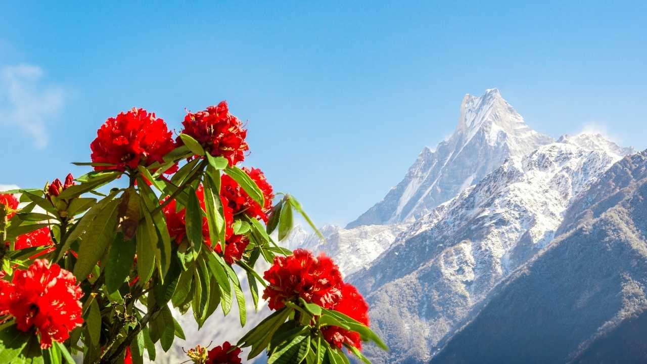 Best Time to Trek in Nepal: A Month-by-Month Guide